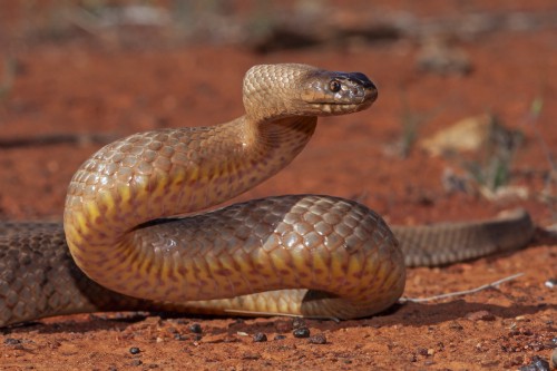 95385c8bf326831fb833bf2981f35e1e