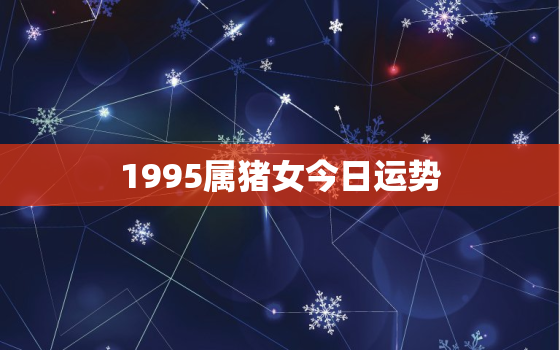 1995属猪女今日运势(财运亨通事业顺利)