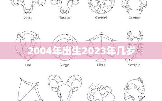 2004年出生2023年几岁(未来19岁青春正当时)