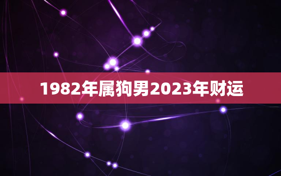 1982年属狗男2023年财运(财富大丰收)