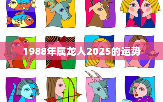 1988年属龙人2025的运势(未来五年的发展趋势)