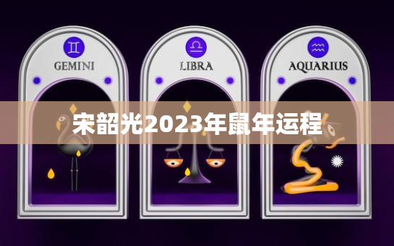 宋韶光2023年鼠年运程，2020年运势12生肖运势宋韶光属鼠