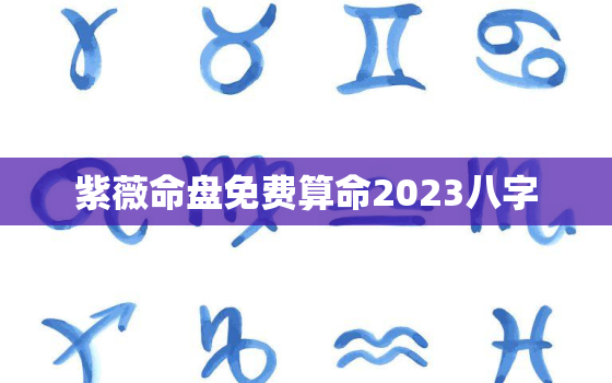 紫薇命盘免费算命2023八字，免费
命盘详解2020