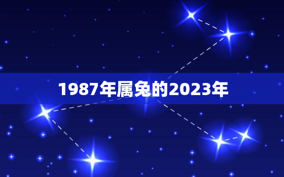1987年属兔的2023年，1987年属兔的2023年运势