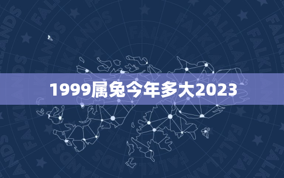 1999属兔今年多大2023，1999属兔今年多大岁数2022