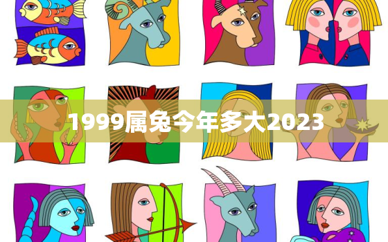 1999属兔今年多大2023，1999属兔今年多大岁数