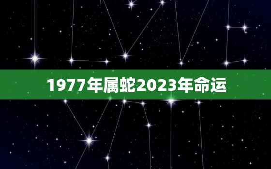 1977年属蛇2023年命运，1977年的蛇在2023年的运势
