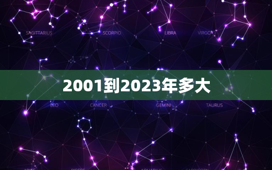 2001到2023年多大，2001年到2029年几岁