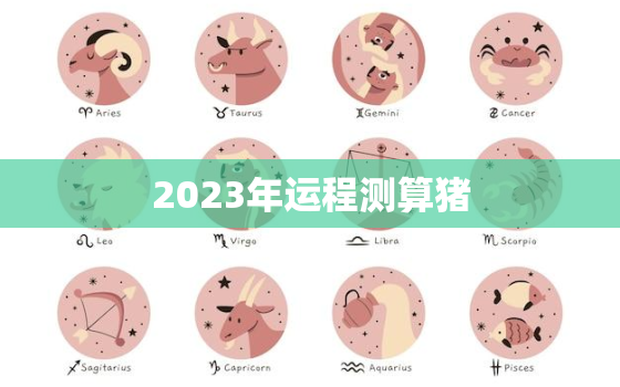 2023年运程测算猪，2023年属猪人全年运势