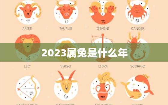 2023属兔是什么年(详解属兔人的性格和运势)