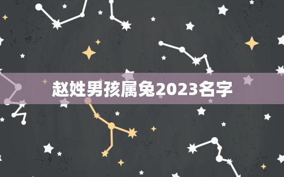 赵姓男孩属兔2023名字(如何取一个与生肖相配的好名字)