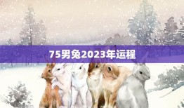 75男兔2023年运程(顺风顺水财源滚滚来)