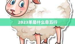 2023羊是什么命五行(解析羊年五行属什么)