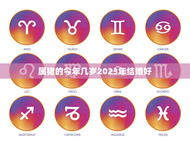 属猪的今年几岁2023年结婚好(如何把握好结婚时机)