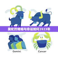 属蛇的婚姻与命运如何2023年(介绍婚姻稳定财运亨通)