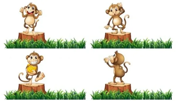 生肖猴运势吉位图解