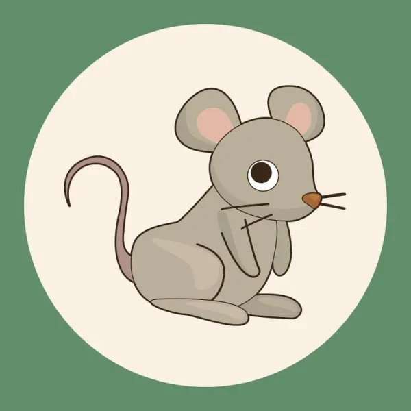 生肖鼠财富布局示意图