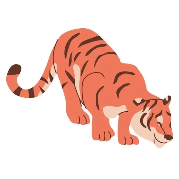 生肖虎2025招财布局