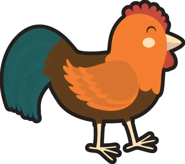 生肖鸡婚配禁忌