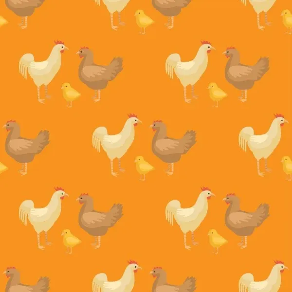 生肖鸡特殊尾羽结构