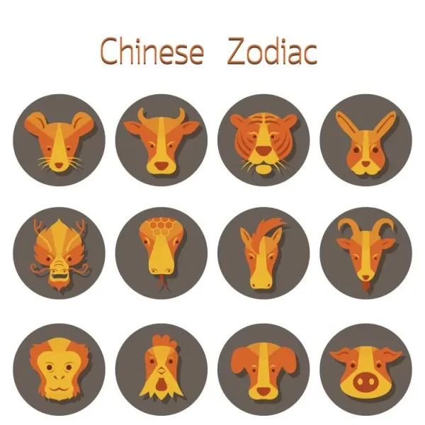 生肖五行相生相克图