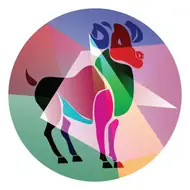 金牛座今日运势解析：工作与感情双丰收指南