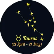 金牛座今日运势精准分析：2月9日专属行动指南