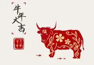 十二生肖2025年运势全解析：精准预测与开运秘笈