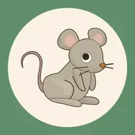 2025年生肖运势全解析：财运健康全指南