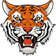 属虎今日财运必看指南：2025年2月9日财富动线预测