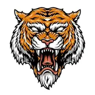 属虎人2025年2月9日财运解读：今日运势查询必备指南