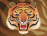 属虎今日财运解析：2025年2月9日打麻将方位攻略