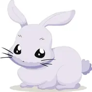 属兔人2025年运势全面解析：五大趋势助你精准把握流年