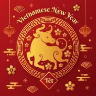 属牛今日偏财方位解析：2月9日大乐透怎么选