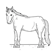 生肖运势今日详解：2025年2月9日吉凶指南