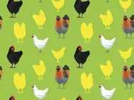 属鸡的白羊男性格解析：三大特质与相处指南