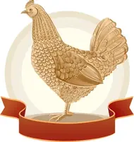 属鸡人今日运势详解及禁忌提示