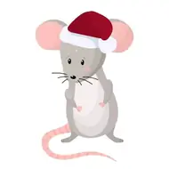 十二生肖正确读法大全：发音技巧一网打尽