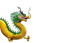 2025年五行属木还是属火？运势解析必看