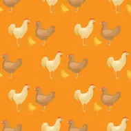 十二生肖尾巴之谜：这只动物竟然没有尾巴！