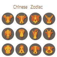 生肖五行婚配指南：3分钟看懂属相与五行的奥秘