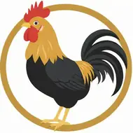 属鸡2025年运势运程每月运程：2025年属相鸡运势及运程详解