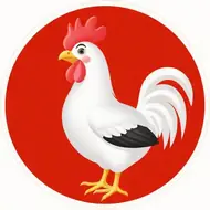 1969年鸡在2025年运势，69年鸡2025年财运如何