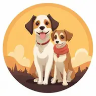 属狗的应该找什么属相的配偶：属狗的最佳配偶是哪个属相