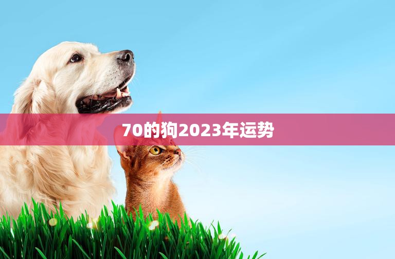70的狗2023年运势(财运亨通事业有成)