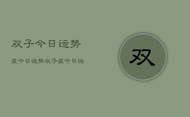 双子今日运势座今日运势，双子座今日运势指南