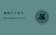 属猴今日金牛塔罗运势，属猴今日金牛塔罗运势详解