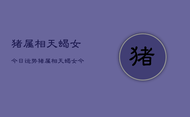 猪属相天蝎女今日运势，猪属相天蝎女今日运势详解