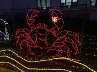 十二星座今日运势解析：3大幸运建议助你把握机遇