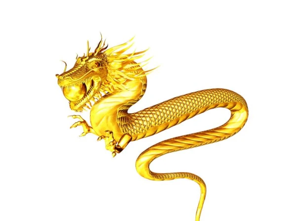 生肖龙今日运势图解